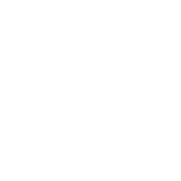 ✓